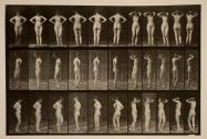 Various poses