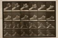 Movement of the hand; clasping hands