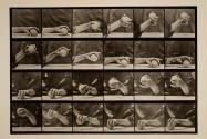 Movement of the hand; lifting a ball