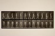 Locomotor ataxia; walking