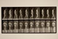 After traumatism of head; walking