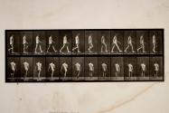 Locomotor ataxia; walking