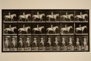 Walking; saddle; rider, 43, nude; light-gray horse, Smith