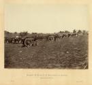 Battery D, Fifth U. S. Artillery, in Action, Fredericksburg, Virginia