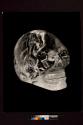 [Crystal Skull]