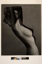 [Breast Silhouette]