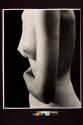 [B.B. Nude]