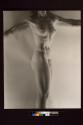 Light Nude, New York