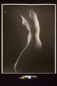 [Nude female torso]