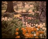[Garden and birdbath at Warner Castle, Rochester NY]