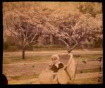 [Child in carriage, Oxford Street, Rochester New York]
