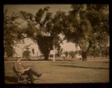 [Man on bench, lawn at Ontario Beach Park]
