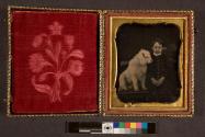 [Boy and large white dog on bench]