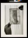 Man Ray "Femme avec Longs Cheveux circa 1929"