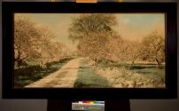 [Landscape]
