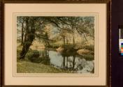 A Sheltered Brook