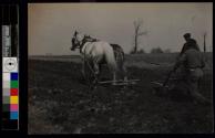 [Man plowing field]