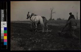 [Man plowing field]