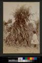 [Tall corn pile with woman and child]