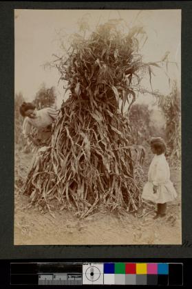 [Tall corn pile with woman and child]