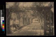 [Man and woman sitting on fence in garden]
