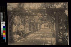 [Man and woman sitting on fence in garden]