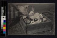 The Easter hare and her interesting family