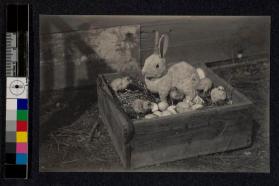 The Easter hare and her interesting family