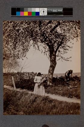[Girl wearing bonnet holding vegetables with man in shade by tree]