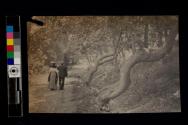 [Man and woman walking down dirt road with large trees]