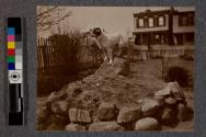 [Dog standing on top of dirt mound]