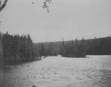 View of lake and forest, Lake Nipigon Trip