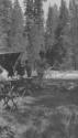 Long Gulch Camp, High Sierras Trip