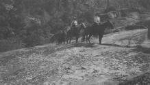 Riders ascending hillside, High Sierras Trip