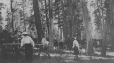 Camping companions and horses in forest, High Sierras Trip