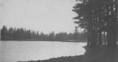 Lake and forest, High Sierras Trip