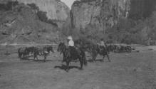 Riders in valley, High Sierras Trip