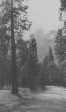 Yosemite, High Sierras Trip