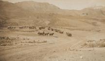 Wagons en route to Yellowstone National Park, Western Trip