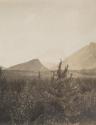 View of mountains, Western Trip