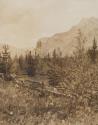 Trees and mountains, Western Trip