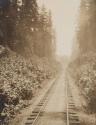 Railroad tracks, Western Trip