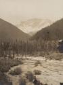 View of forest and distant mountains, Western Trip