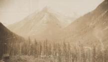 View of forest and mountains, Western Trip