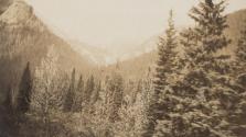 View of forest and distant mountains, Western Trip