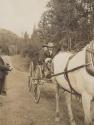 Travel companions in wagon, Western Trip