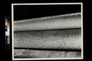 Raising the nap on upholstery material (Shelton Looms)