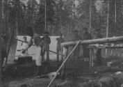 Camp Workers beside Campfire, George Eastman's Nipigon Trip