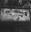 Mounted Fish, George Eastman's Nipigon Trip