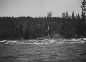View of Rapids and Treeline, George Eastman's Nipigon Trip